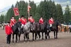 Bundesmeisterschaft Noriker + Haflinger Bild 174