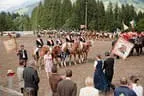 Bundesmeisterschaft Noriker + Haflinger Bild 177