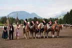Bundesmeisterschaft Noriker + Haflinger Bild 179
