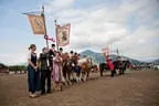 Bundesmeisterschaft Noriker + Haflinger Bild 181