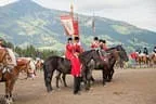 Bundesmeisterschaft Noriker + Haflinger Bild 182
