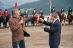 Bundesmeisterschaft Noriker + Haflinger Bild 184