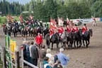 Bundesmeisterschaft Noriker + Haflinger Bild 189