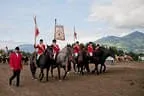 Bundesmeisterschaft Noriker + Haflinger Bild 191