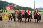 Bundesmeisterschaft Noriker + Haflinger Bild 196