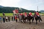 Bundesmeisterschaft Noriker + Haflinger Bild 197