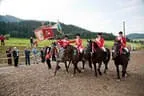 Bundesmeisterschaft Noriker + Haflinger Bild 198