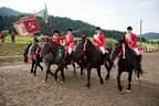 Bundesmeisterschaft Noriker + Haflinger Bild 199