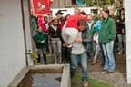 Bundesmeisterschaft Noriker + Haflinger Bild 217