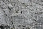 Ausflug Dachstein Bergrettung Hopfgarten Bild 35