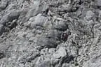 Ausflug Dachstein Bergrettung Hopfgarten Bild 39