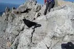 Ausflug Dachstein Bergrettung Hopfgarten Bild 100