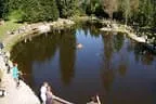 Königfischen Lärchenteich Bild 2
