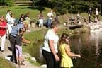 Königfischen Lärchenteich Bild 44