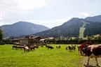 Brixner Almfestl Bild 1