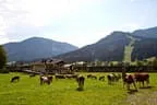 Brixner Almfestl Bild 2