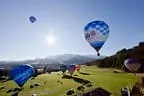 LIBRO Ballon Cup Bild 91