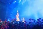 Alpenländischer Musikherbst 2011 Bild 35