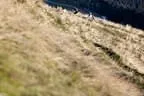 Herbst Nachtflug von der Hohen Salve Bild 11