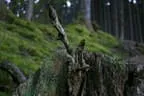Herbstflug vim Lodron Bild 13
