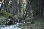 Herbstflug vim Lodron Bild 15