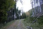 Herbstflug vim Lodron Bild 18