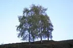 Herbstflug vim Lodron Bild 27