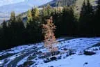 Herbstflug vim Lodron Bild 54