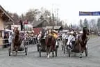 Trabrennen Kirchberg 2011 Bild 50