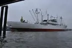 Hafen und Reeperbahn Hamburgs Bild 17