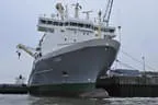 Hafen und Reeperbahn Hamburgs Bild 42