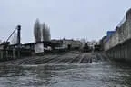 Hafen und Reeperbahn Hamburgs Bild 51