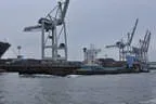 Hafen und Reeperbahn Hamburgs Bild 60