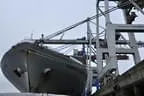 Hafen und Reeperbahn Hamburgs Bild 64