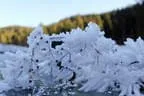 Kristallwelten am Schleierwasserfall Bild 5