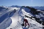 Schitour Pallspitze - Langer Grund Bild 43
