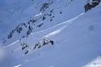 Schitour Pallspitze - Langer Grund Bild 57