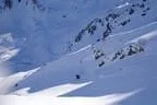Schitour Pallspitze - Langer Grund Bild 58