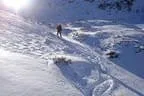 Schitour Pallspitze - Langer Grund Bild 66
