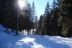 Schitour Pallspitze - Langer Grund Bild 77