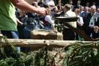 2012 Bild 26