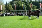 2012 Bild 164