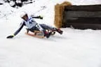 CDR Austria Cup - Naturrodeln - Penningberg Bild 11