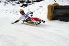 CDR Austria Cup - Naturrodeln - Penningberg Bild 13