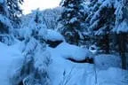 Schitour Beerental und Bamberger Hütte Hopfgarten Bild 9