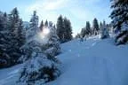 Schitour Beerental und Bamberger Hütte Hopfgarten Bild 11
