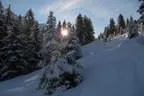 Schitour Beerental und Bamberger Hütte Hopfgarten Bild 13