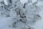 Schitour Beerental und Bamberger Hütte Hopfgarten Bild 25