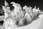 Andere Sichtweisen  Winter-Flug-Aufnahmen Bild 60