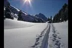 Schitour zum Salzachgeier - Kitzbühler Alpen Bild 21